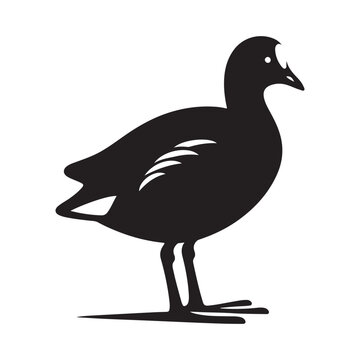 recommend clip art: Common Moorhen and Pelican Silhouette Vector Illustrations – Perfect for T-Shirt Designs