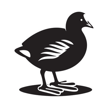 recommend clip art: Common Moorhen and Pelican Silhouette Vector Illustrations – Perfect for T-Shirt Designs