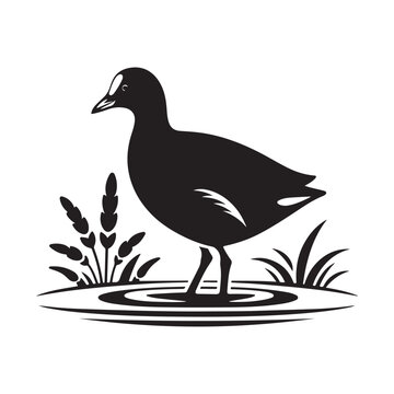recommend clip art: Common Moorhen and Pelican Silhouette Vector Illustrations – Perfect for T-Shirt Designs