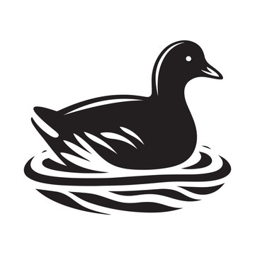 recommend clip art: Common Moorhen and Pelican Silhouette Vector Illustrations – Perfect for T-Shirt Designs