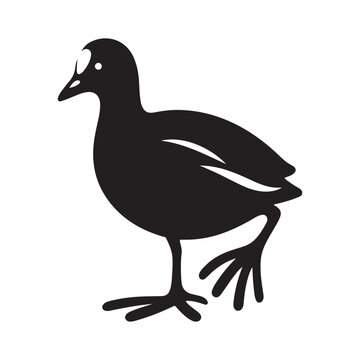 recommend clip art: Common Moorhen and Pelican Silhouette Vector Illustrations – Perfect for T-Shirt Designs