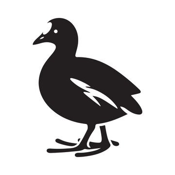 recommend clip art: Common Moorhen and Pelican Silhouette Vector Illustrations – Perfect for T-Shirt Designs