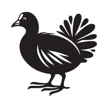 recommend clip art: Common Moorhen and Pelican Silhouette Vector Illustrations – Perfect for T-Shirt Designs