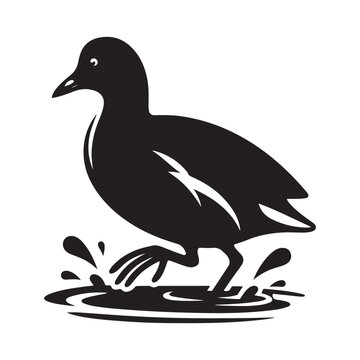 recommend clip art: Common Moorhen and Pelican Silhouette Vector Illustrations – Perfect for T-Shirt Designs