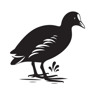 recommend clip art: Common Moorhen and Pelican Silhouette Vector Illustrations – Perfect for T-Shirt Designs