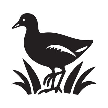 recommend clip art: Common Moorhen and Pelican Silhouette Vector Illustrations – Perfect for T-Shirt Designs