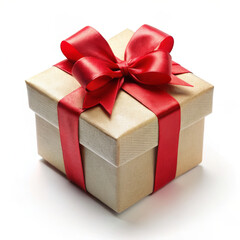 Obraz premium gift box with ribbon