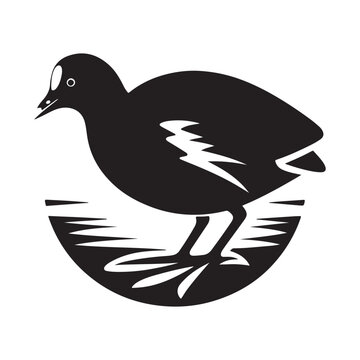 recommend clip art: Common Moorhen and Pelican Silhouette Vector Illustrations – Perfect for T-Shirt Designs