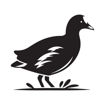 recommend clip art: Common Moorhen and Pelican Silhouette Vector Illustrations – Perfect for T-Shirt Designs