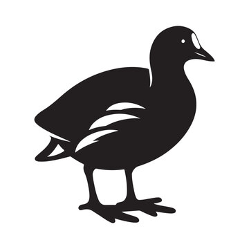 recommend clip art: Common Moorhen and Pelican Silhouette Vector Illustrations – Perfect for T-Shirt Designs