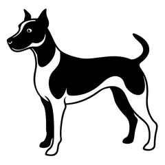 black and white dog