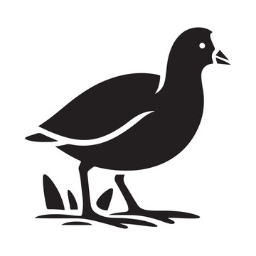 recommend clip art: Common Moorhen and Pelican Silhouette Vector Illustrations – Perfect for T-Shirt Designs