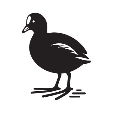 recommend clip art: Common Moorhen and Pelican Silhouette Vector Illustrations – Perfect for T-Shirt Designs