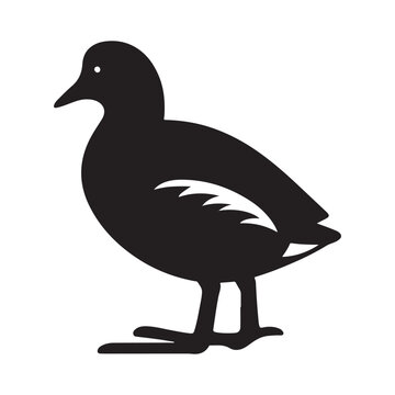 recommend clip art: Common Moorhen and Pelican Silhouette Vector Illustrations – Perfect for T-Shirt Designs