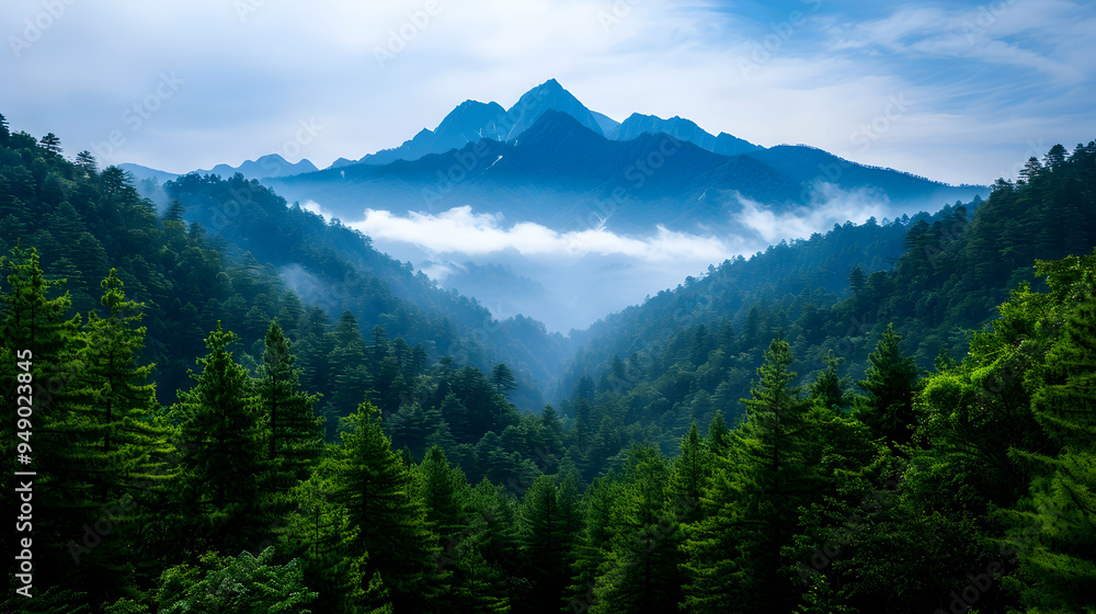 Canvas Prints View Mountain Range With Trees The Foreg