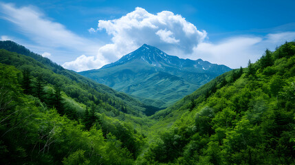Obraz premium View Mountain Range With Trees The Foreg