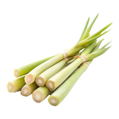 Fresh Lemongrass Bunch, Raw Organic Spicy Aromatic Ingredient, Asian Traditional Cooking Green Stem