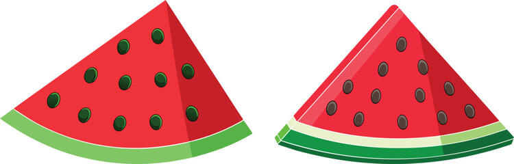 watermelon vector illustration. 