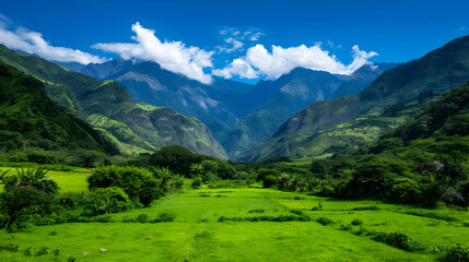 Fototapeta premium View Valley With Mountains The Background