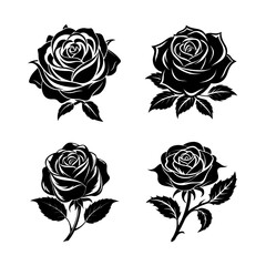set of roses
