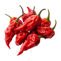 Red Color Ripe Ghost Peppers Fruit, Fresh Hot and Extremely Spicy Cooking Ingredient