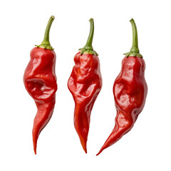 Red Color Ripe Ghost Peppers Fruit, Fresh Hot and Extremely Spicy Cooking Ingredient
