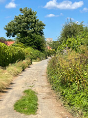 Brancaster North Norfolk, English country lane and church