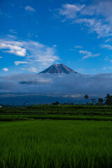 Volcano Mount Semeru East Java Indonesia.