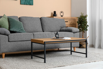 Interior of modern living room with black sofa and coffee table