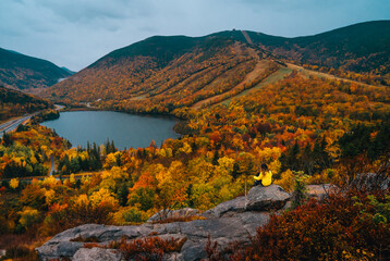 Naklejka premium Autumn Female Adventure Hiker Sitting on Edge of Mountain Epic View From Artist Bluff Trail New Hampshire Beautiful Foliage Scenery Lake Yellow Coat