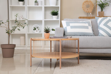 Interior of stylish living room with comfortable sofa, coffee table, shelving unit and houseplant