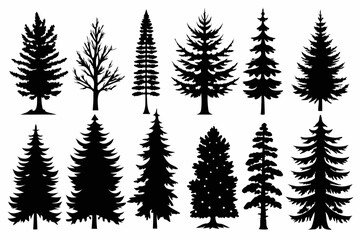 Pine Trres vector trees set. Tree icons are set in a modern flat style. Vector silhouette, graphic trees elements and landscape