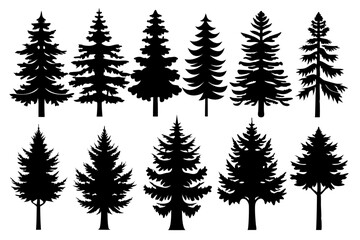 Pine Trres vector trees set. Tree icons are set in a modern flat style. Vector silhouette, graphic trees elements and landscape