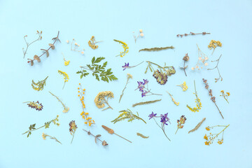 Dried flowers on blue background