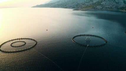 Fish farming cages floating in calm waters of a coastal area surrounded by mountains. 