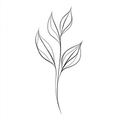 Stylized leaf made from a single continuous line symbolizing growth or nature