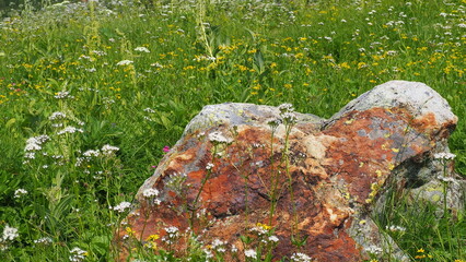 Brandywine meadows hiking