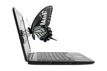 Serene butterfly perched on open laptop, wings gently brushing against screen