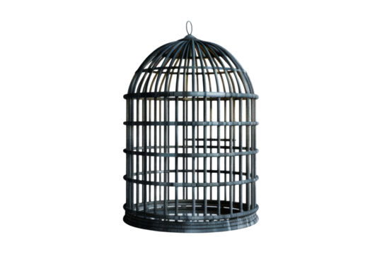 Metal Birdcage Isolated
