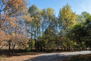Autumn view of South Park in city of Sofia, Bulgaria