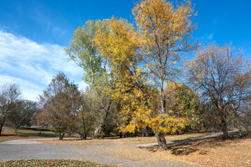Autumn view of South Park in city of Sofia, Bulgaria