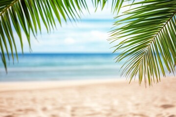 Fototapeta premium Beautiful summer background with palm leaves, sandy beach, and blurred sea view, ideal for vacation themes. Captured with a Nikon D850.