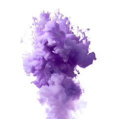 Fototapeta premium Beautiful purple smoke explosion creating an artistic design