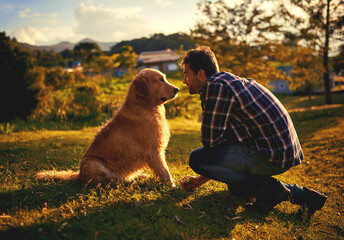 Care, dog and man in park, nature and relax with golden retriever, bonding and together. Outdoor,...