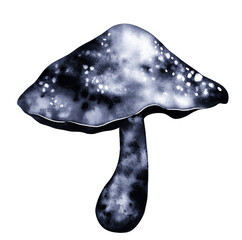 Poisonous forest mushroom for dark witch magic. Dark Witch Magic Crystals Set. Watercolour, ink texture and digital art. 
