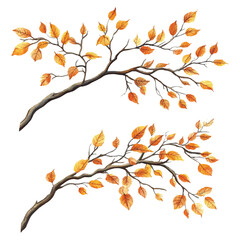 vector set of various autumn tree branches with yellow leaves with white background