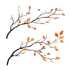 vector set of various autumn tree branches with yellow leaves with white background