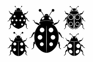 
ladybug set. Black silhouette ladybug vector illustration, set of coccinellidae silhouette
 
