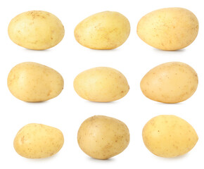 Many whole potatoes isolated on white, set