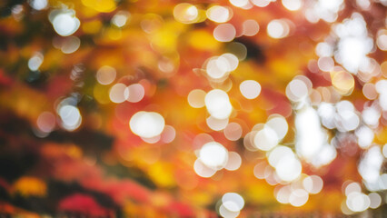 Naklejka premium Abstract Autumn Bokeh with Vibrant Fall Colors